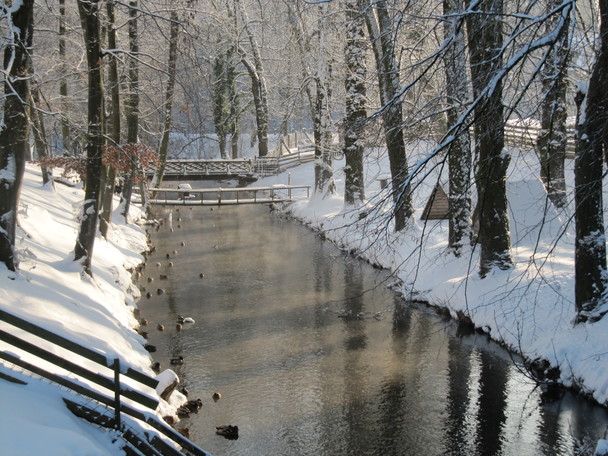 Fluss in der Uckermark im Winter (Ragg’s Domspatz): Der letzte Weg – frher als schicksalhaft empfunden, fordert unsere Zeit Entscheidungen, die an Grundfragen unserer Existenz rhren.    